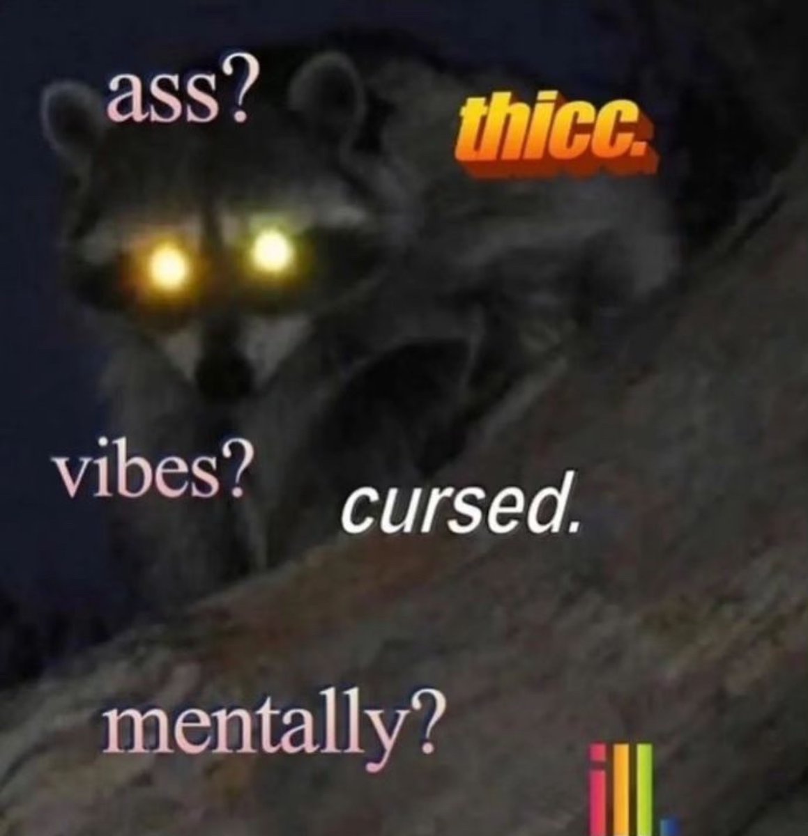 raccoonesthetic's tweet image. 