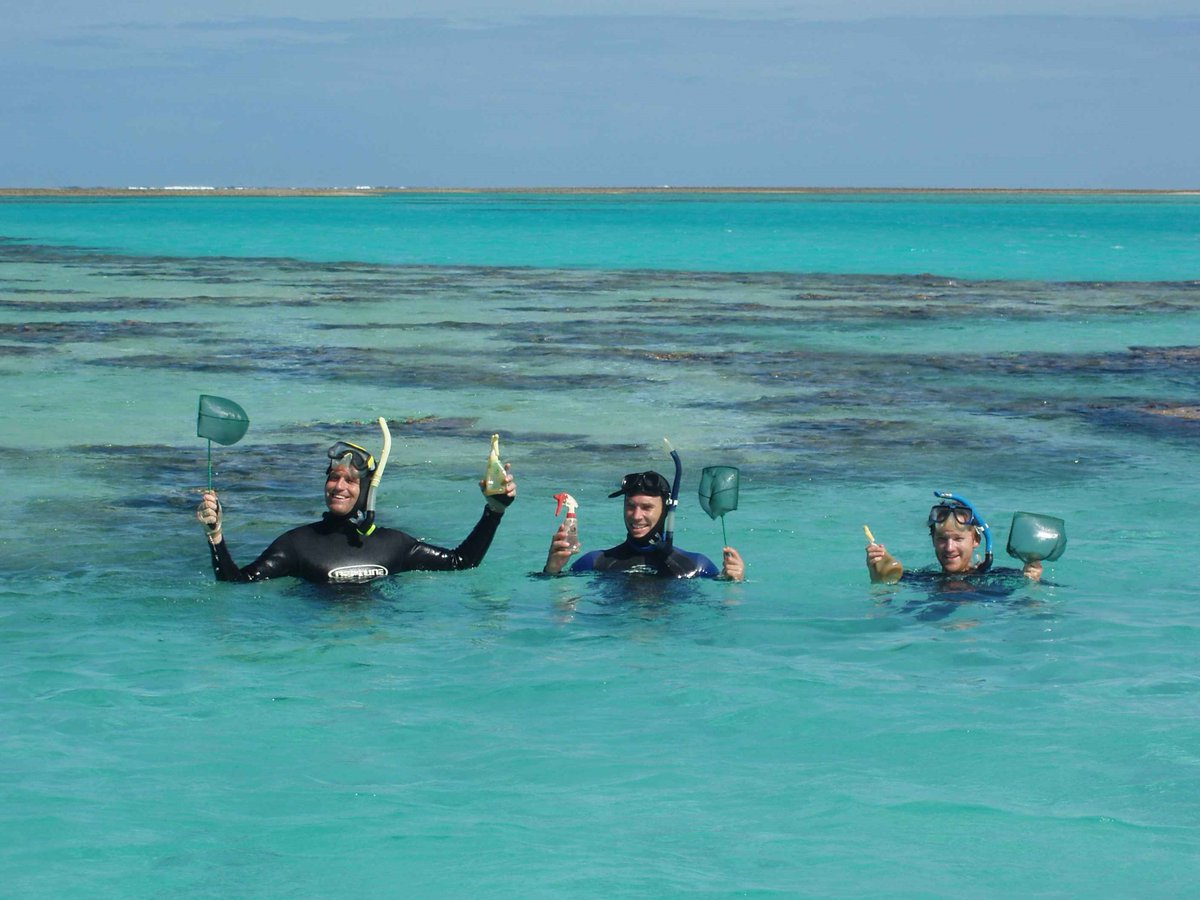 Will Figueira tweet media