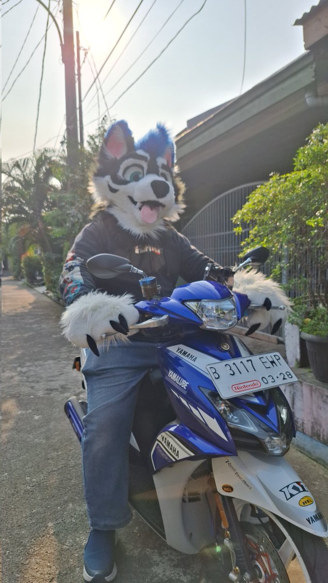 Unpronunceable Husky tweet media