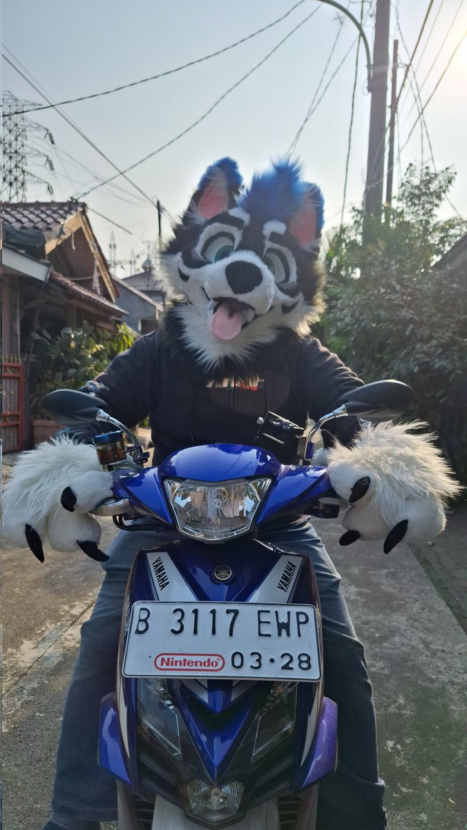 Unpronunceable Husky tweet media