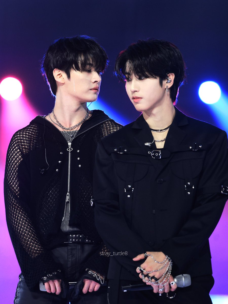 ˢᵗʳᵃʸ ᵗᵘʳᵗˡᵉ tweet media