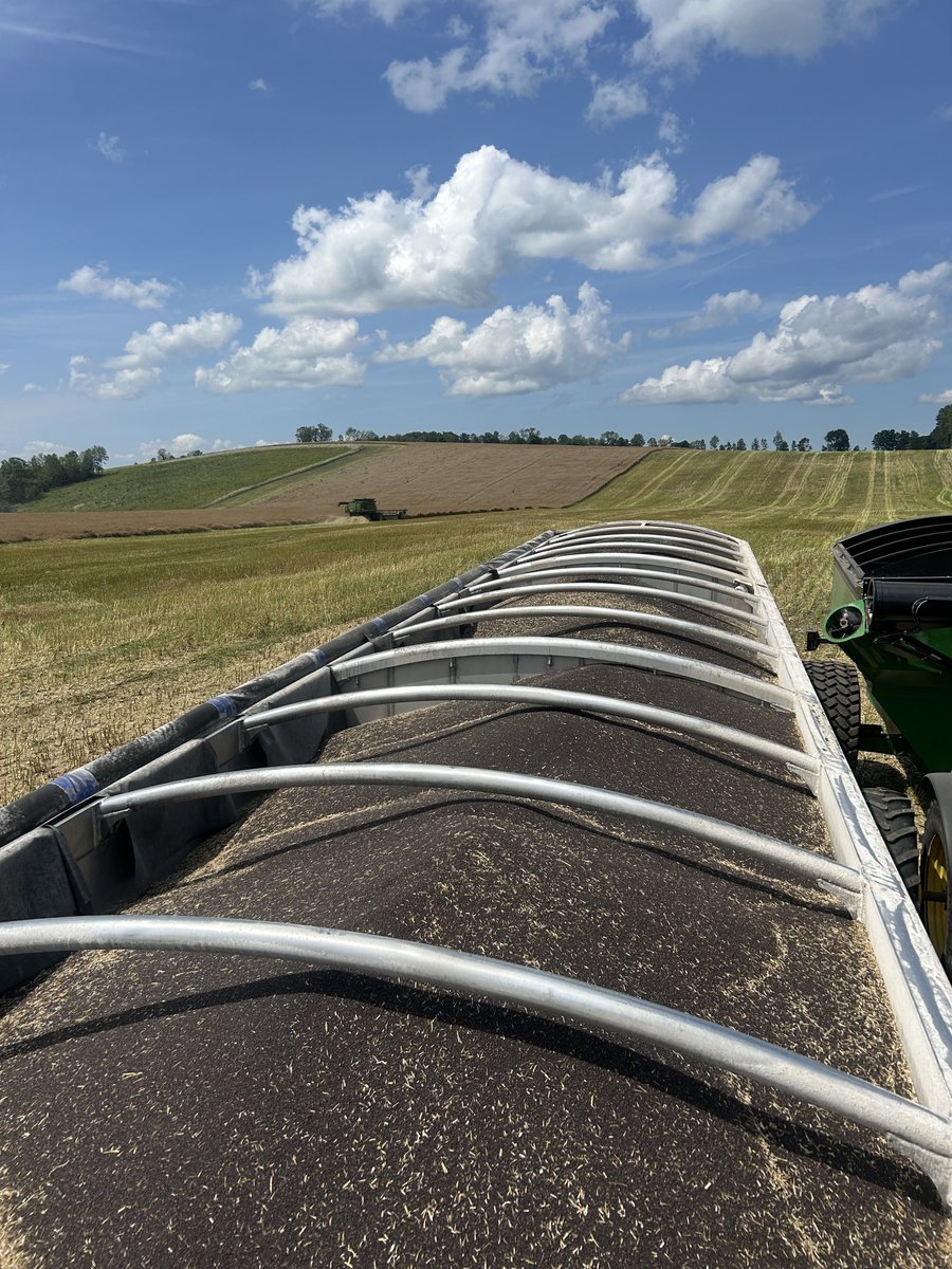 Thomas Lennox tweet media