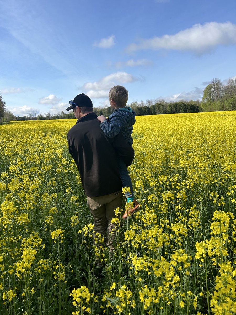 Thomas Lennox tweet media