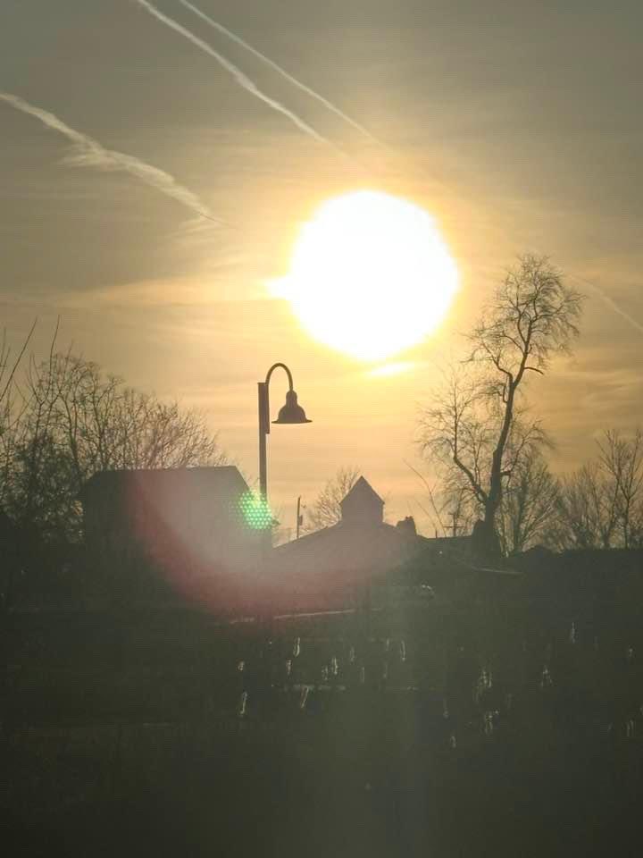 Just so beautiful ❤️ Make sure you make time in your day to take in the beauty that is all around us.