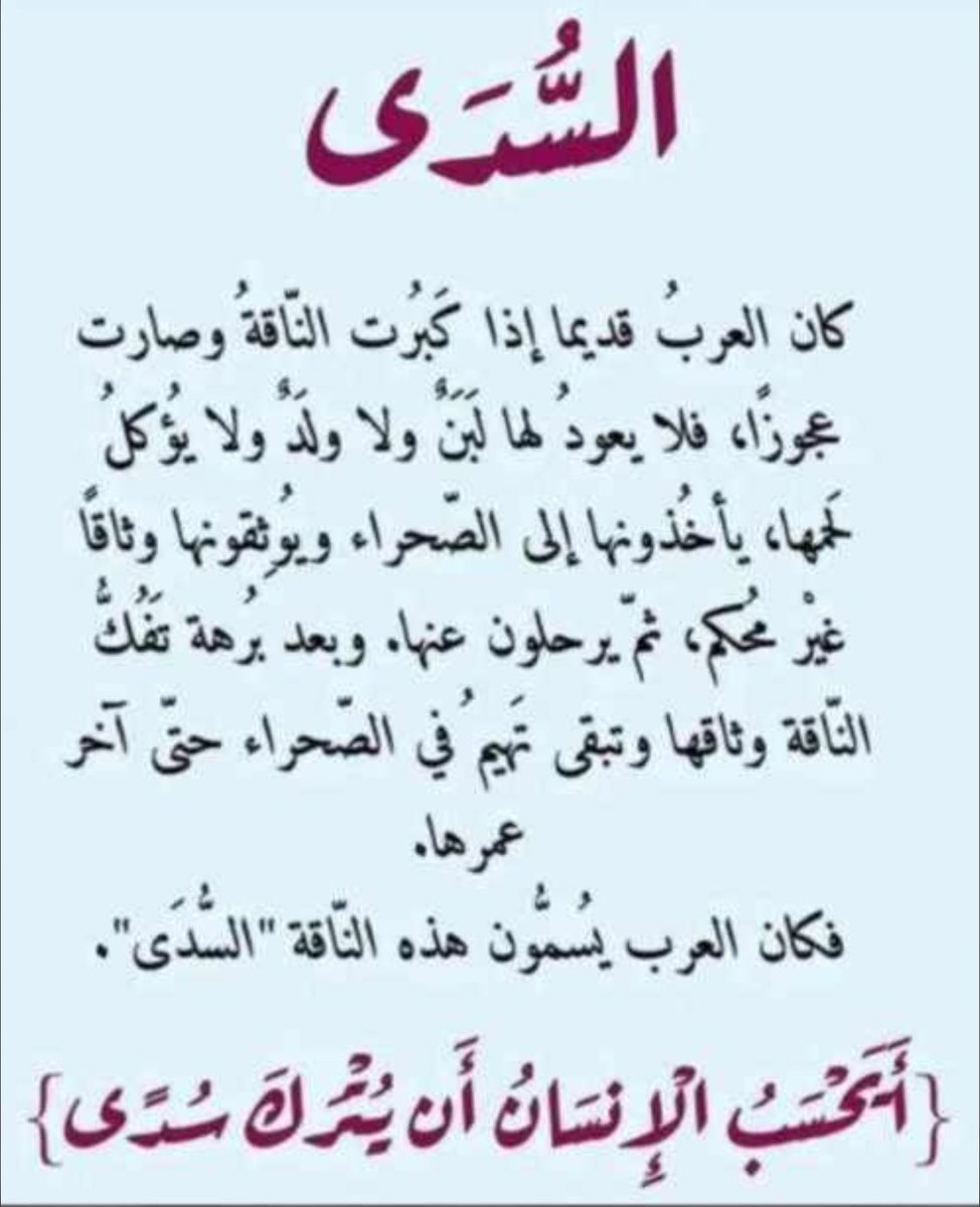 وسن الحربي (@lawsonharbi) on Twitter photo 