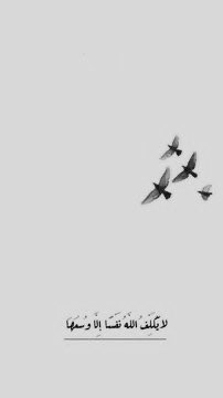 🇶🇦 tweet media