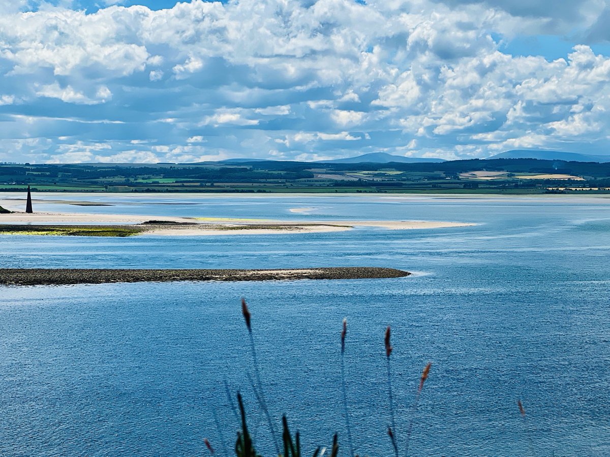 Michael Sadgrove 🇪🇺 tweet media