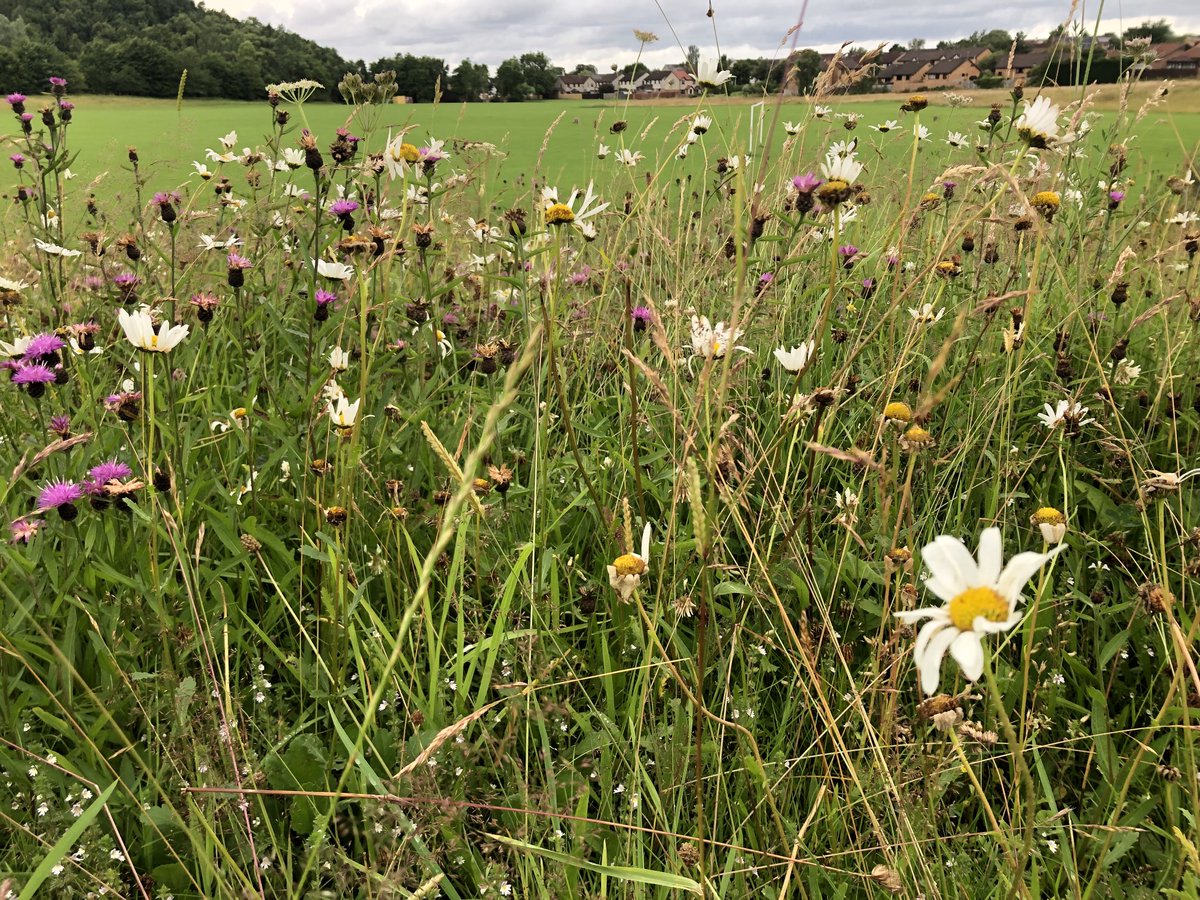 Ian Edwards tweet media