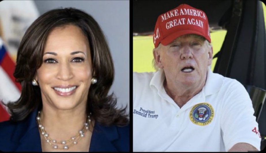 Så valet står nu mellan en fd chefsåklagare och en gammal bedrägeri- och sexbrottsdömd antidemokrat