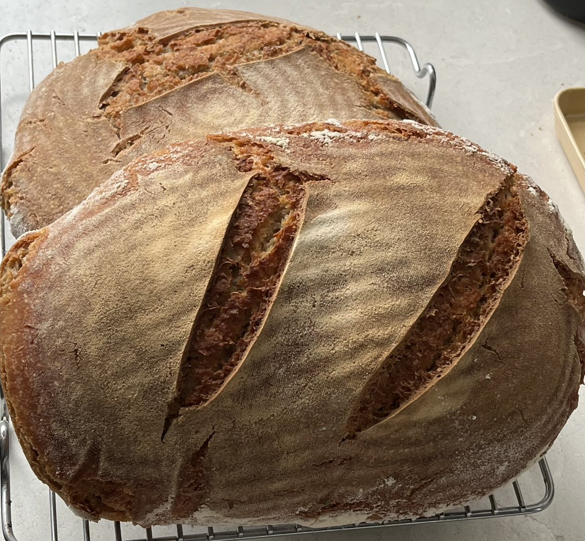 steffiec91's tweet photo. My house smells yummy this morning
#homemadebread
#organicbread
😋😋 https://t.co/U0YsVxfSlF
