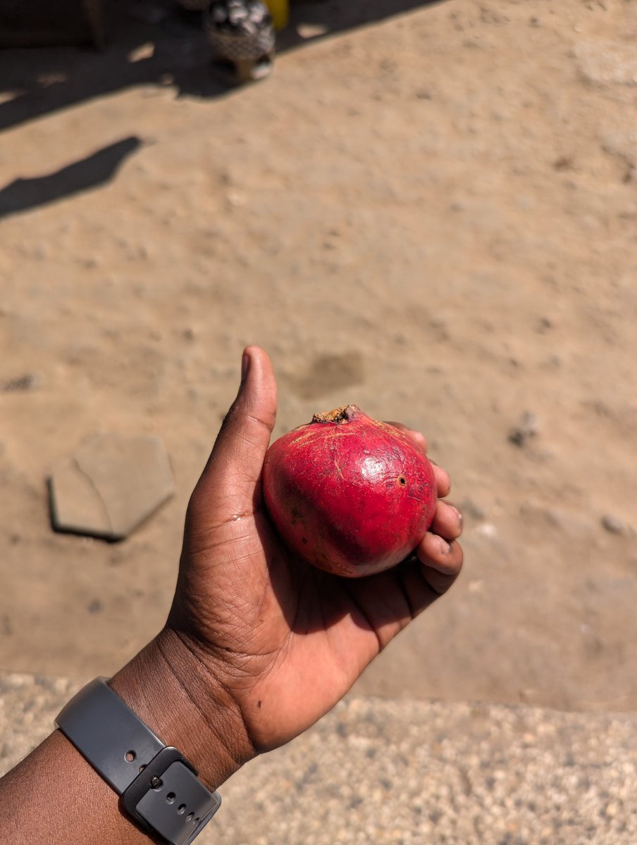 What do you call this fruit in your local language?