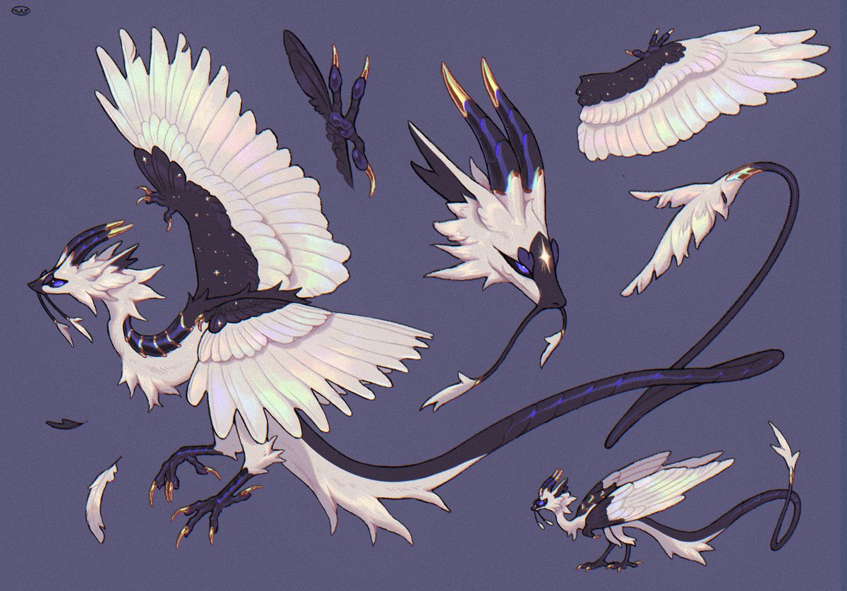 Clara Scintilla tweet media