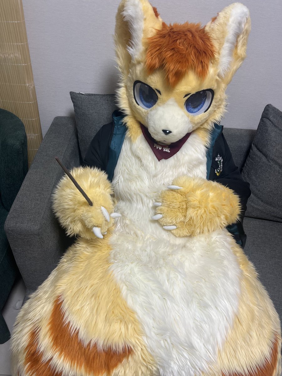 今天是雞蛋糕的1歲生日
我要施展給大家快樂的魔法
#Fursuit #FursuitEveryday