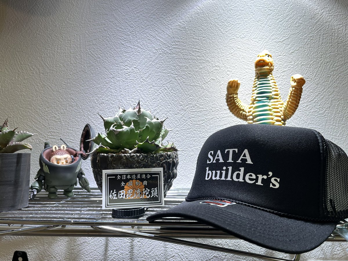 新品 佐田ビルダーズ SATA builder