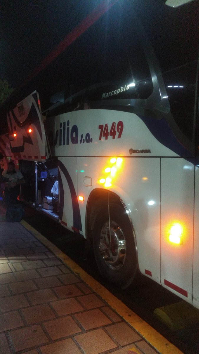 MmonicaGonCa's tweet photo. Denuncia pública para la empresa de transporte @expresbrasilia en el bus 7449 Bucaramanga / Bogotá, viene invadido por cucarachas, y al informar al conductor me dice que eso es "normal". QUE DESCARO!😭😭 https://t.co/ahbMRC3Zou