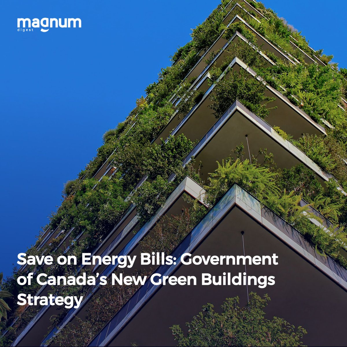 magnumdigestca's tweet photo. Save big on energy bills with the Government of Canada’s New Green Buildings Strategy. Read more ⬇️:
https://t.co/NT9uNO8yno
#GreenBuildings #EnergySavings #EcoFriendly #Canada #GoGreen #SustainableFuture #EnergyEfficiency #GreenStrategy #GreenCanada #MagnumDigest https://t.co/lL4Oscunxy