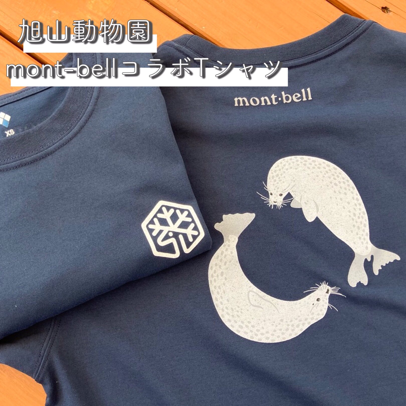旭山動物園くらぶ on X: 
