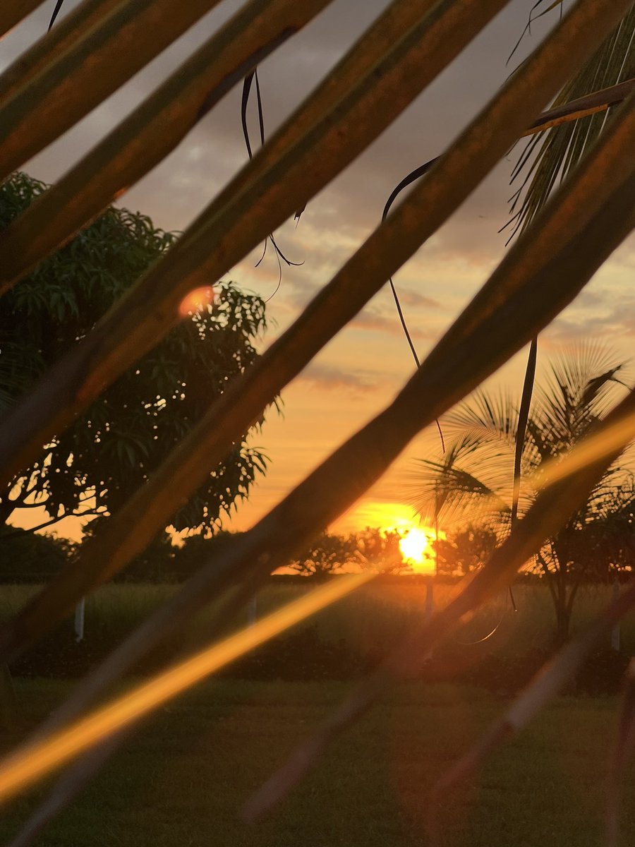 Cristina Hurtado (@crisshurtado) on Twitter photo 