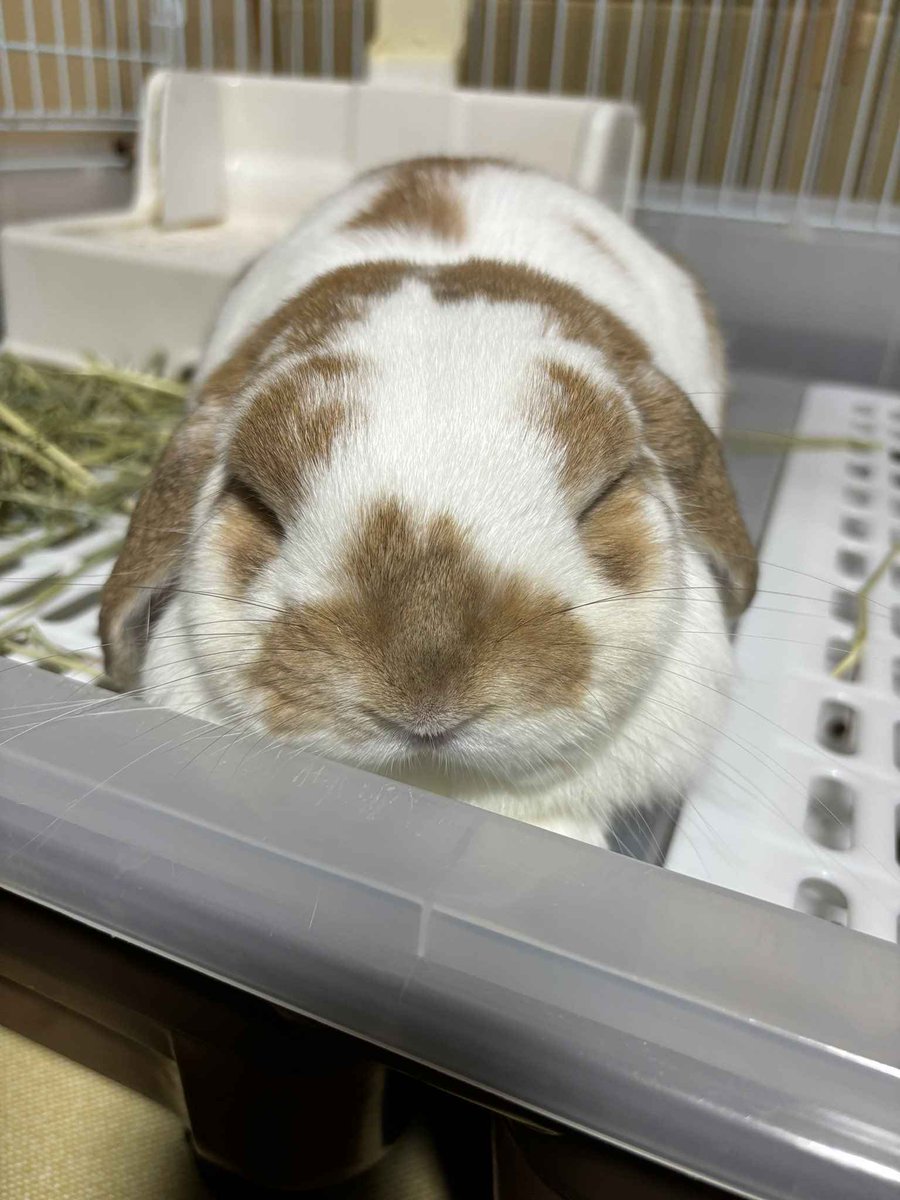 📼 DEATHWISH tweet media