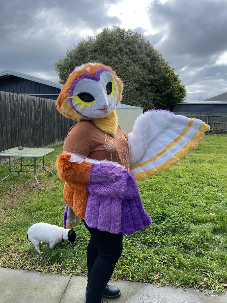 ☀️ElevatorMusicc tweet media