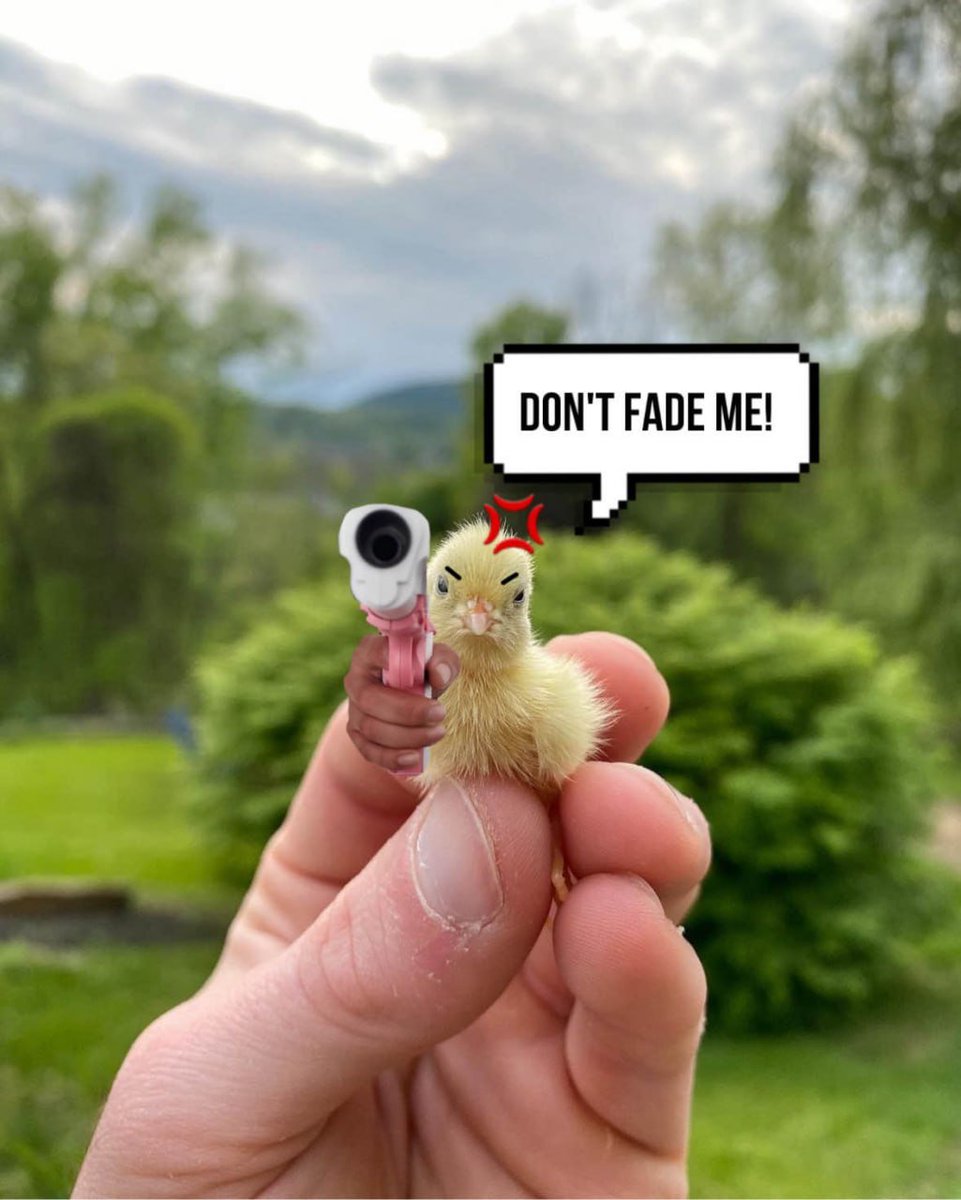 <a href="/mrpunkdoteth/">Mrpunk.eth</a> $YELLO DONT FADE THIS SHIT WE SENDING IT TO THE MOON.