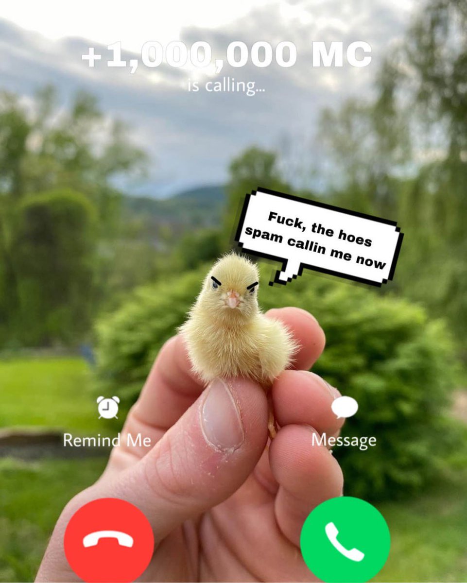 <a href="/Dior100x/">Dior</a> $YELLO IS FUCKING MOVING AND BUILDING A GREAT COMMUNITY AT THE SAME TIME