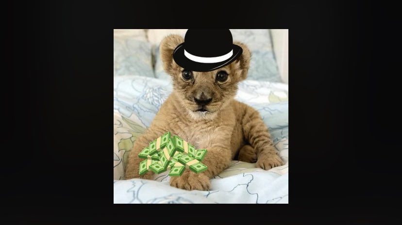 BadMann3rd's tweet photo. @HashtagCabal @FleuryNFT @blknoiz06 $Willy the new kitty in town https://t.co/5NsVPsCXL1