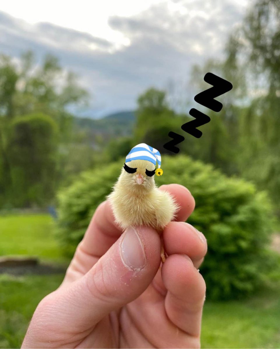 <a href="/SolJakey/">Jakey</a> PIVOT TO $YELLO