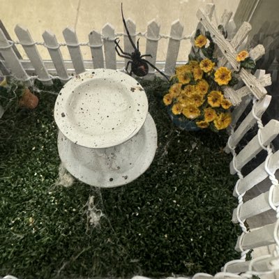 #NewProfilePic