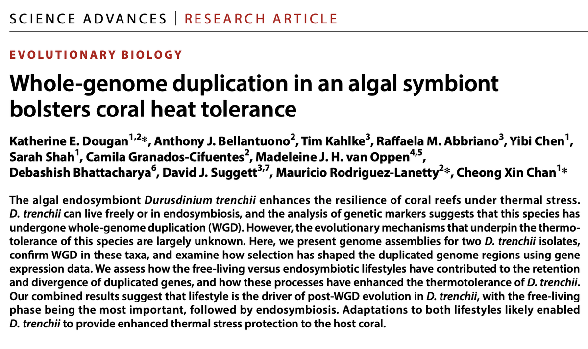 Cheong Xin (CX) Chan (@dorkym) on Twitter photo Our work led by <a href="/KEDougan/">Katherine Dougan, PhD</a> shows how genome duplication enhanced the efficiency of a #coral #algal #symbiont FINALLY out <a href="/ScienceAdvances/">Science Advances</a>! Fantastic collabs @ace_uq <a href="/UQ_SCMB/">UQ Chemistry and Molecular Biosciences</a> <a href="/uts_c3/">UTS C3</a> <a href="/FIU/">FIU</a> <a href="/aims_gov_au/">Australian Institute of Marine Science</a> <a href="/BioSci_UniMelb/">BioSciences UniMelb</a> <a href="/RutgersSEBS/">Rutgers SEBS</a> after years of hard work!
doi.org/10.1126/sciadv… Our work led by <a href="/KEDougan/">Katherine Dougan, PhD</a> shows how genome duplication enhanced the efficiency of a #coral #algal #symbiont FINALLY out <a href="/ScienceAdvances/">Science Advances</a>! Fantastic collabs @ace_uq <a href="/UQ_SCMB/">UQ Chemistry and Molecular Biosciences</a> <a href="/uts_c3/">UTS C3</a> <a href="/FIU/">FIU</a> <a href="/aims_gov_au/">Australian Institute of Marine Science</a> <a href="/BioSci_UniMelb/">BioSciences UniMelb</a> <a href="/RutgersSEBS/">Rutgers SEBS</a> after years of hard work!
doi.org/10.1126/sciadv…