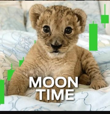 BadMann3rd's tweet photo. @HashtagCabal @ApeCryptos $Willy is the most obvious choice. We sending this to pluto https://t.co/rTVWva4CtM