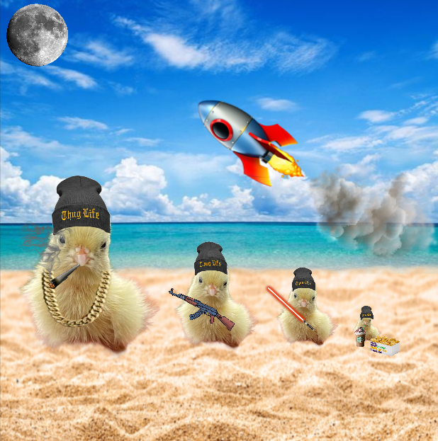 <a href="/yelotree/">Yelo</a> $YELLO IS FUCKING SENDING 70 PEOPLE IN VC WE HAVENT EVEN HIT RAYDIUM