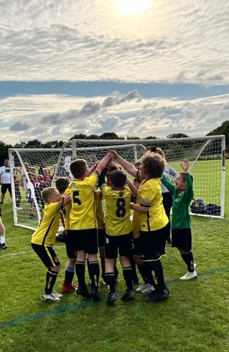 Springfields FC tweet media