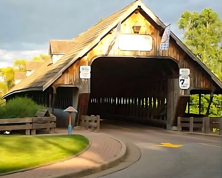 Frankenmuth, Michigan is one of the most charming cities I have ever seen. #littlebavaria #frankenmuth #frankenmuthmichigan #visitmichigan #puremichigan
