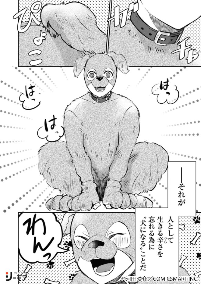 (3/11)
https://t.co/kQJv568S0z 