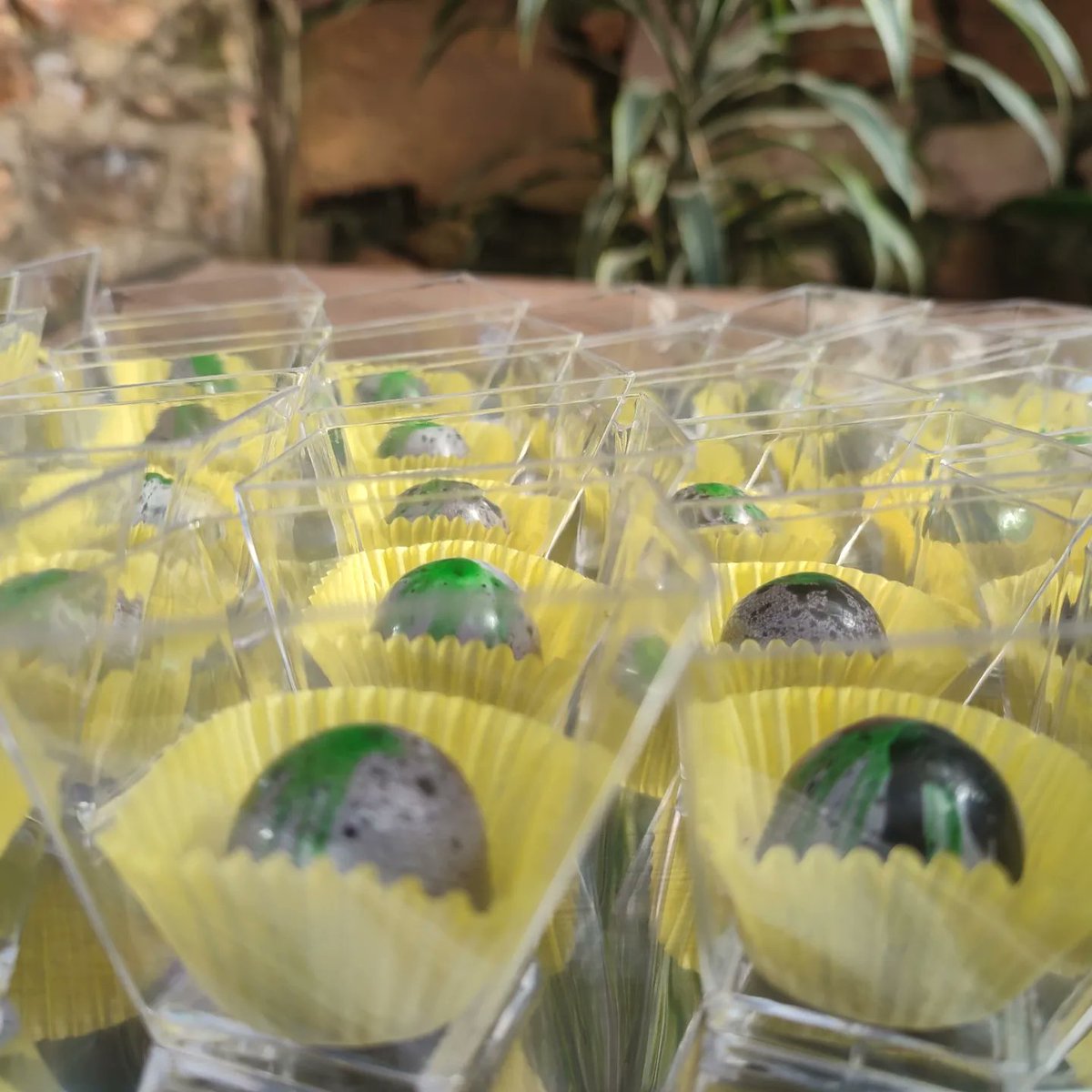 Last week we had the honour of curating a beautiful tasting experience for the <a href="/SegalFoundation/">Segal Family Foundation</a> at the <a href="/kumbalilodge/">Kumbali Country Lodge</a> Summer House 

We gave the delegates the farm to bar/table experience of cocoa as a whole 💯🇲🇼🌳🍫

#cocoa #chocolateexperience #malawi #chocolate