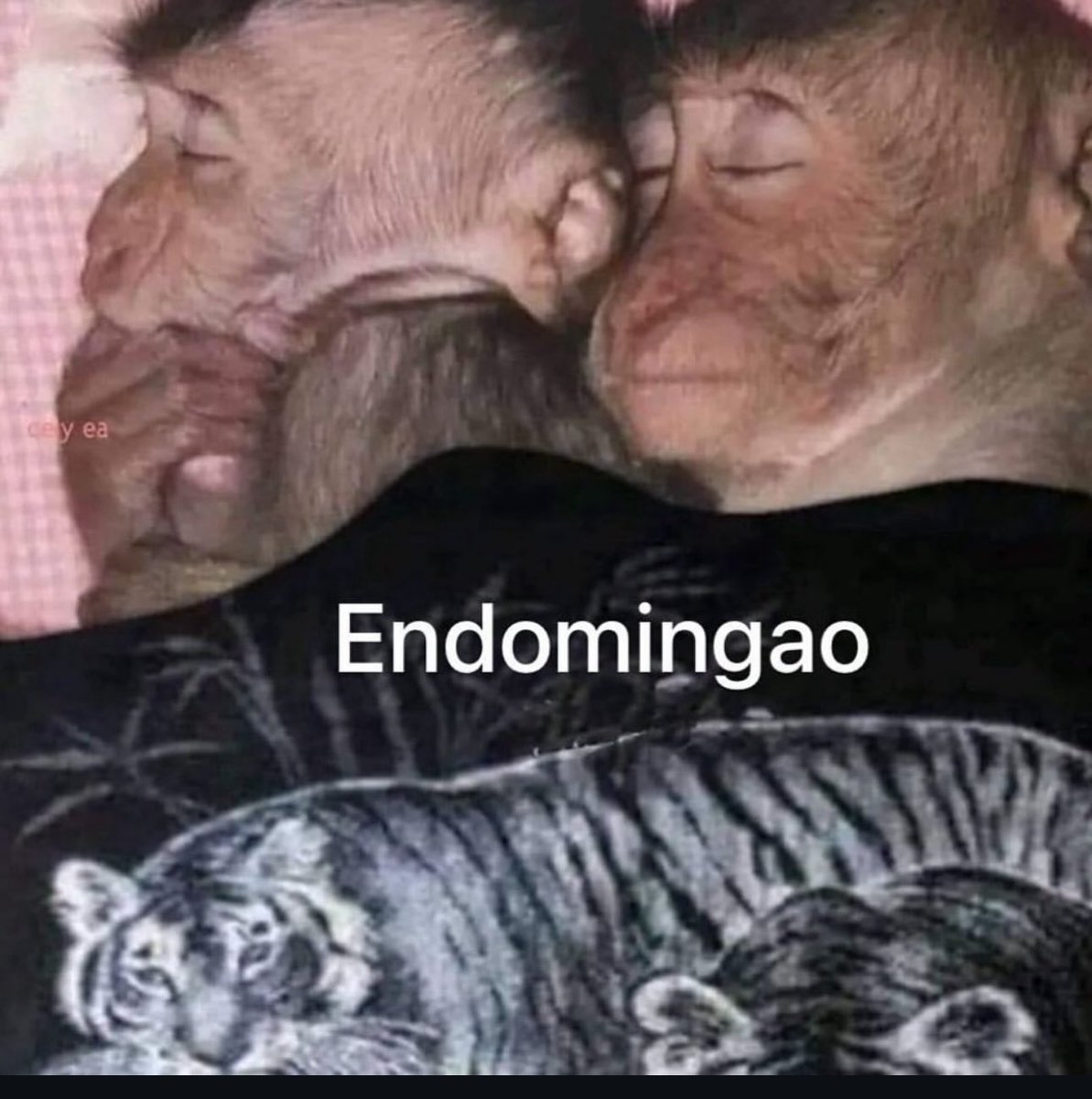 soyMargarlto's tweet photo. Goals https://t.co/EFQZQtir1s