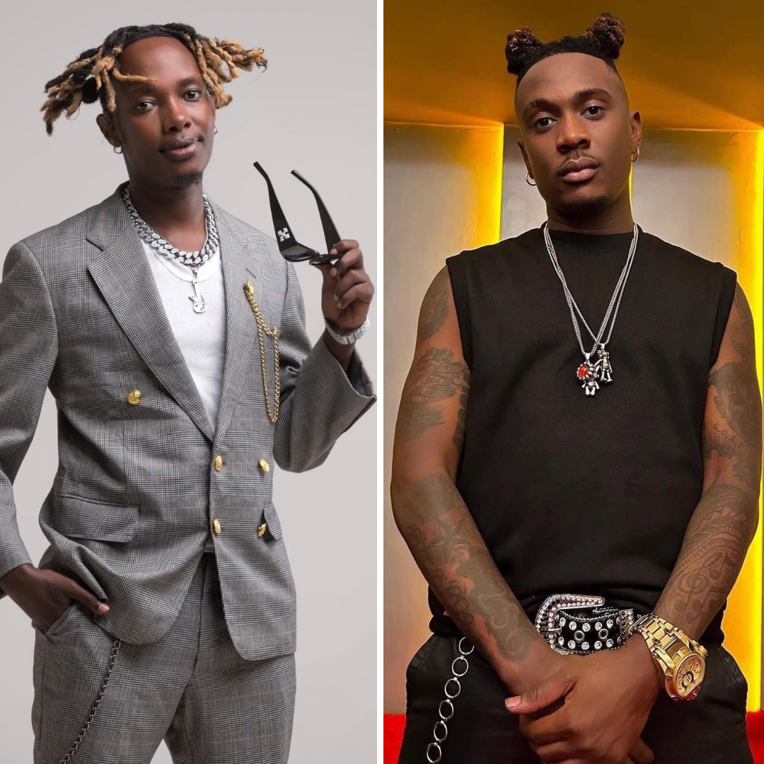 Baboon Forest Entertainment tweet media