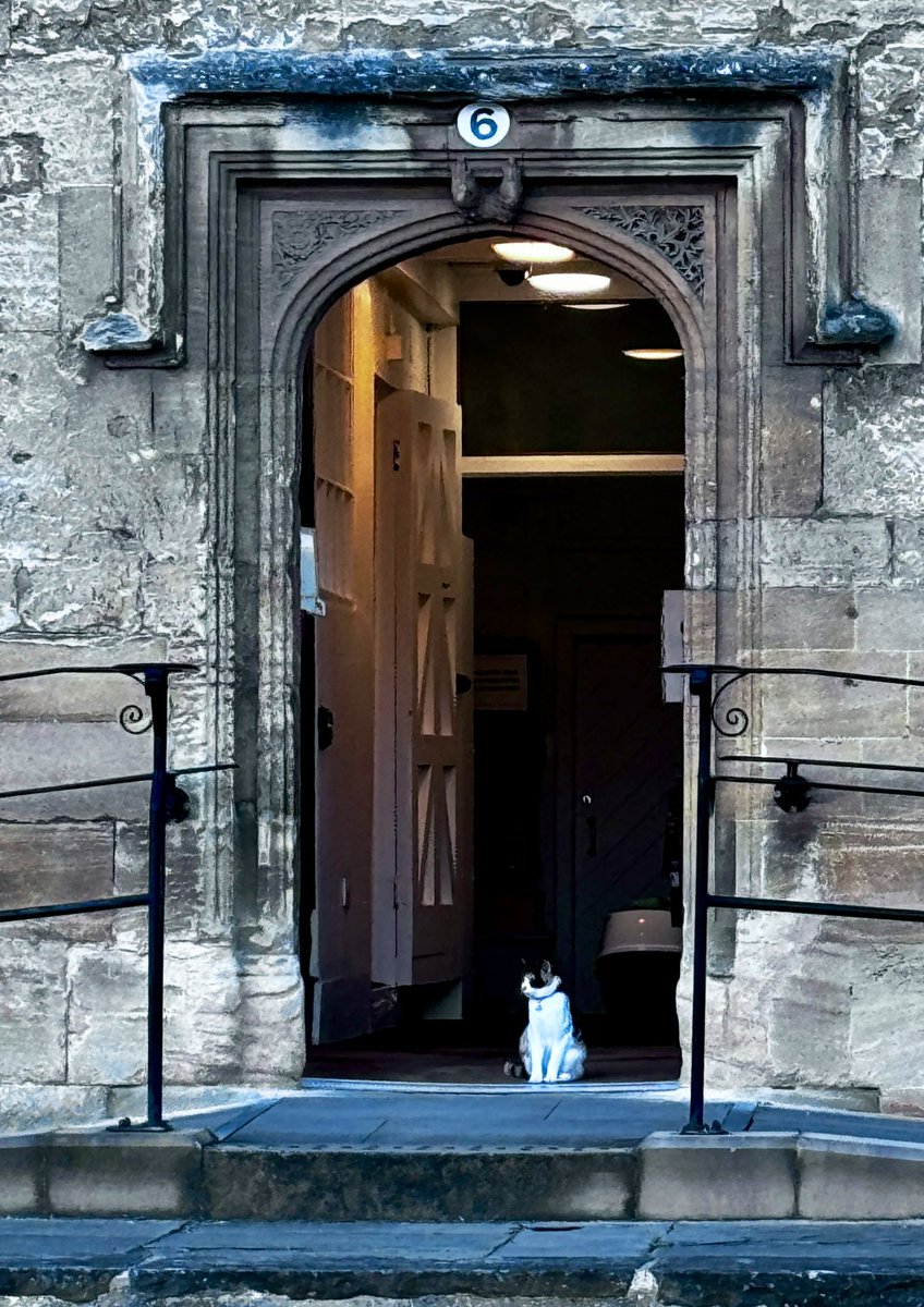 KC Bankruptcy BSRT RRT JD - Humanity ALWAYS wins! tweet media