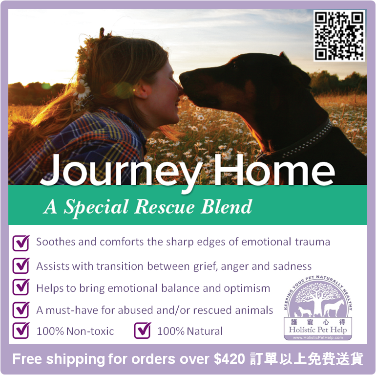 holisticpethelp.com/en/aromadog-jo…  
#aromatherapy #Dogs #HPH #HolisticPetHelp