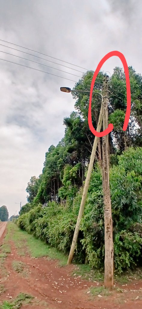 Henry Mibei tweet media