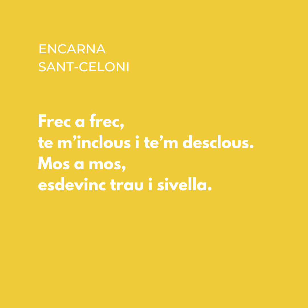 Uns versos de "Simbiosi", poema d'Encarna Sant-Celoni. L'hem trobat a l'antologia de poesia LGBTQ catalana Amors sense casa, a cura de Sebastià Portell i que va publicar el 2018 <a href="/angleeditorial/">Angle Editorial</a>. 

#poesiaencatala #donespoetes #poesiaenvalencià @celoniverger <a href="/sebastiaportell/">Sebastià Portell</a>