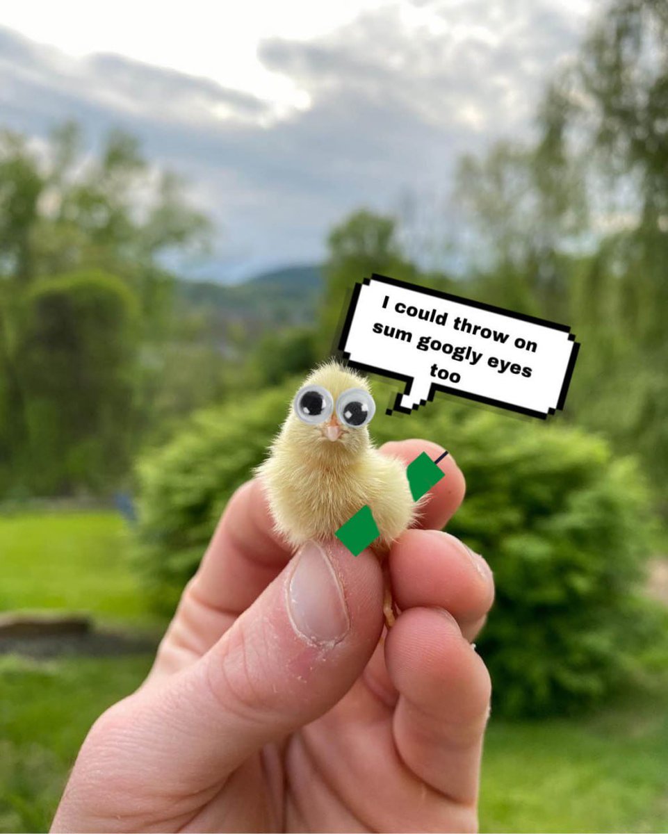 <a href="/Dior100x/">Dior</a> $YELLO TO THE FUCKING MOON