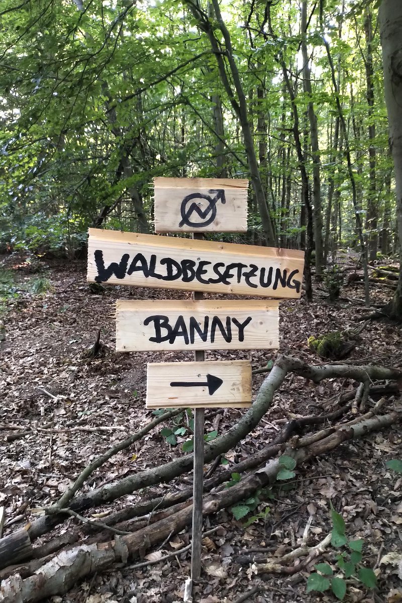 wsa_buendnis's tweet photo. GuMo aus dem #BannyBleibt 🌳☀️

Die Besetzung im #LangenerBannwald steht stabil und wir freuen uns über Besuch &amp; Verstärkung! 🐰

Alle News und Wunschliste über den neuen Ticker 👉 https://t.co/HqxN8UfxsN

#WaldStattKies https://t.co/ydeROu8QT6