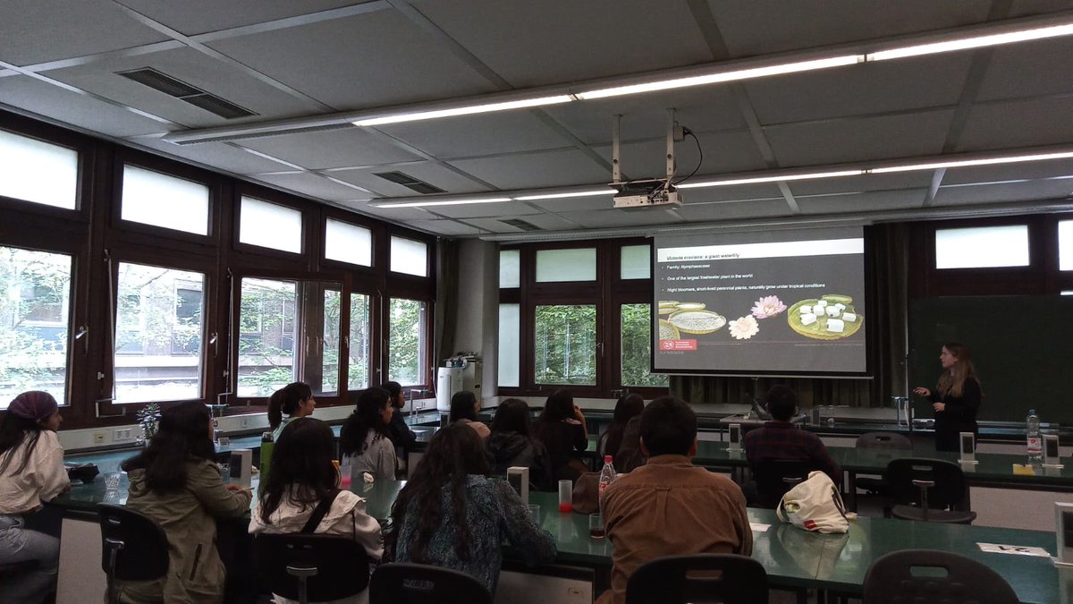 PuckerLab's tweet photo. Melina revealed some secrets of the giant waterlily Victoria cruziana: how much weight can the leaves carry and what causes the flower color change from white to pink? https://t.co/Hh5XuwCj7H https://t.co/T5Dq4hKwf8