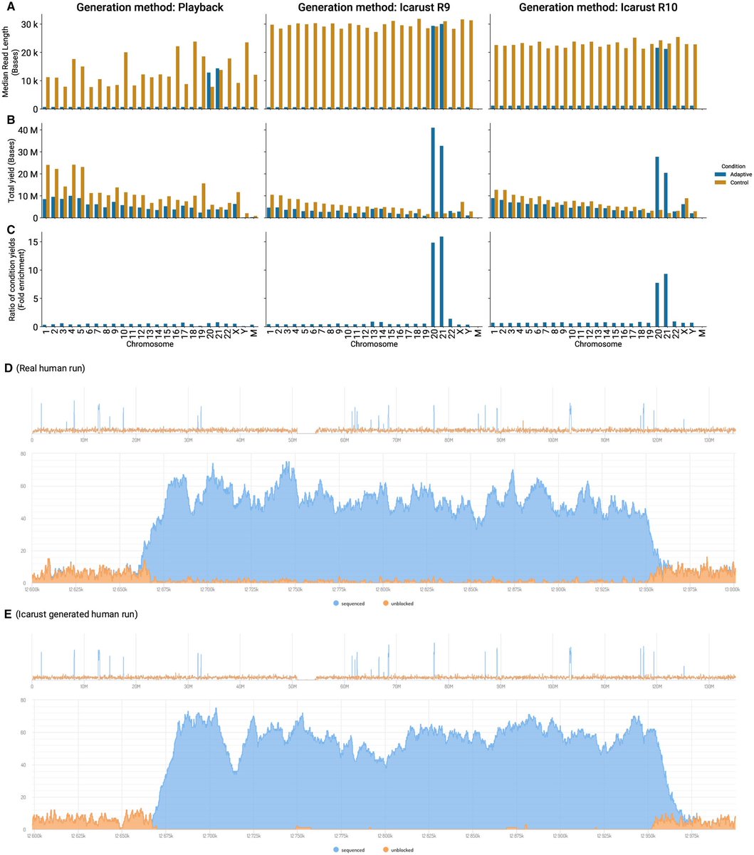 Icarust, a real-time simulator for Oxford Nanopore adaptive sampling！ #nanopore #AS #sampling.doi.org/10.1093/bioinf…