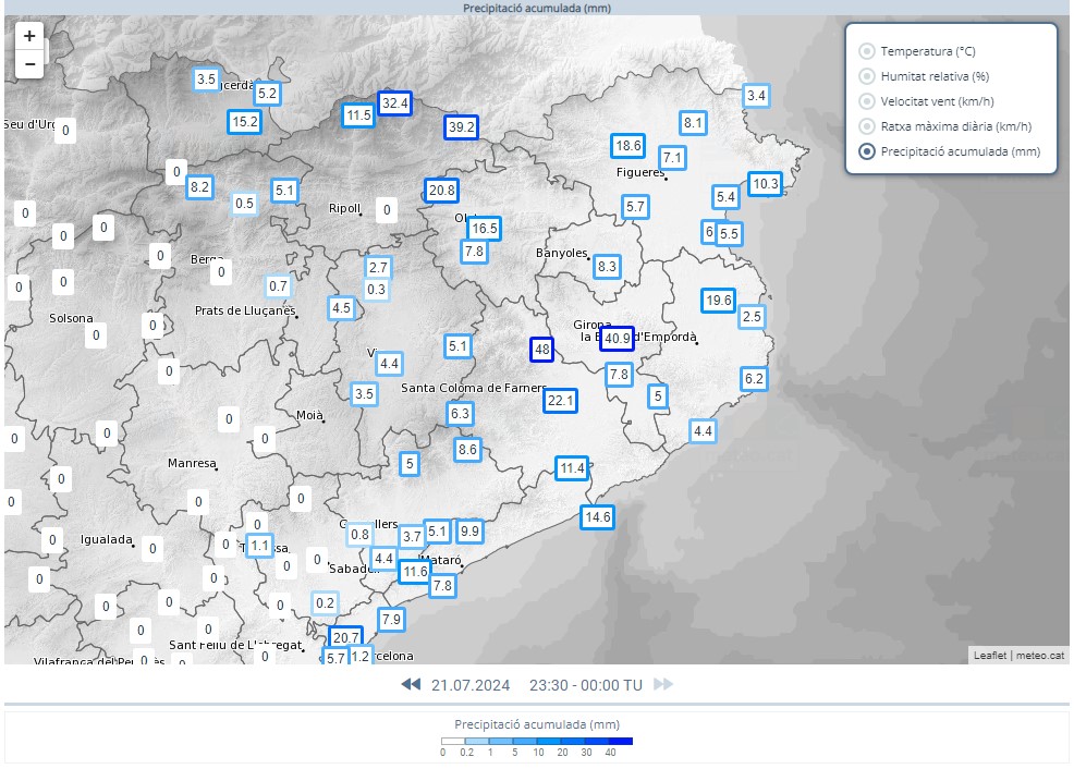 programatigre tweet media