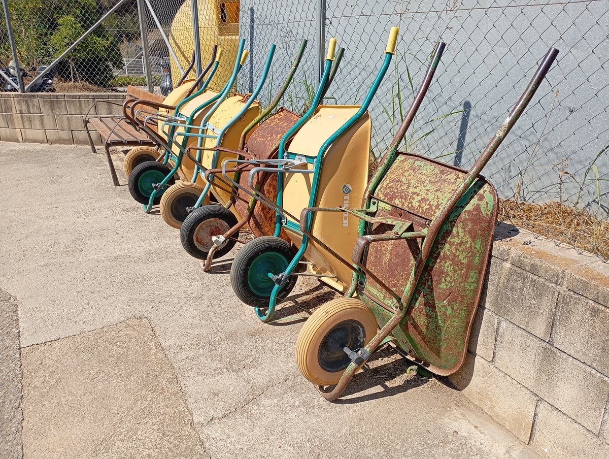 programatigre tweet media