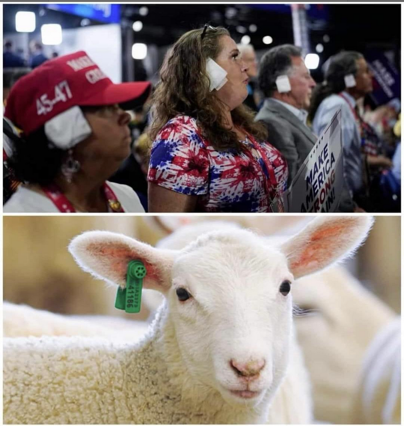 Another good one from the toot site: