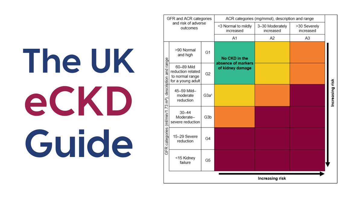 The UK eCKD Guide has now been updated. 

This important resource is derived from NICE #CKD guidelines &amp; relevant UKKA guidelines. 

It provides quick online support for the diagnosis &amp; management of chronic #kidney disease.

Access now ➡️ bit.ly/468tRNr